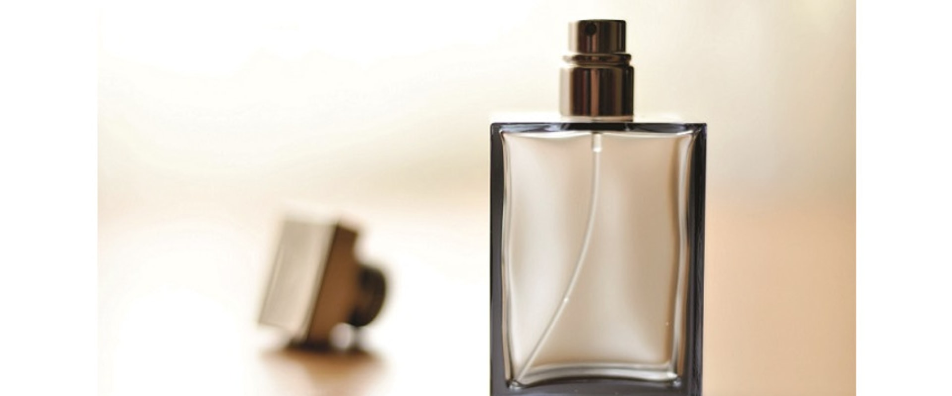 The Best Long-Lasting Perfumes: What Perfumes Last 24 Hours